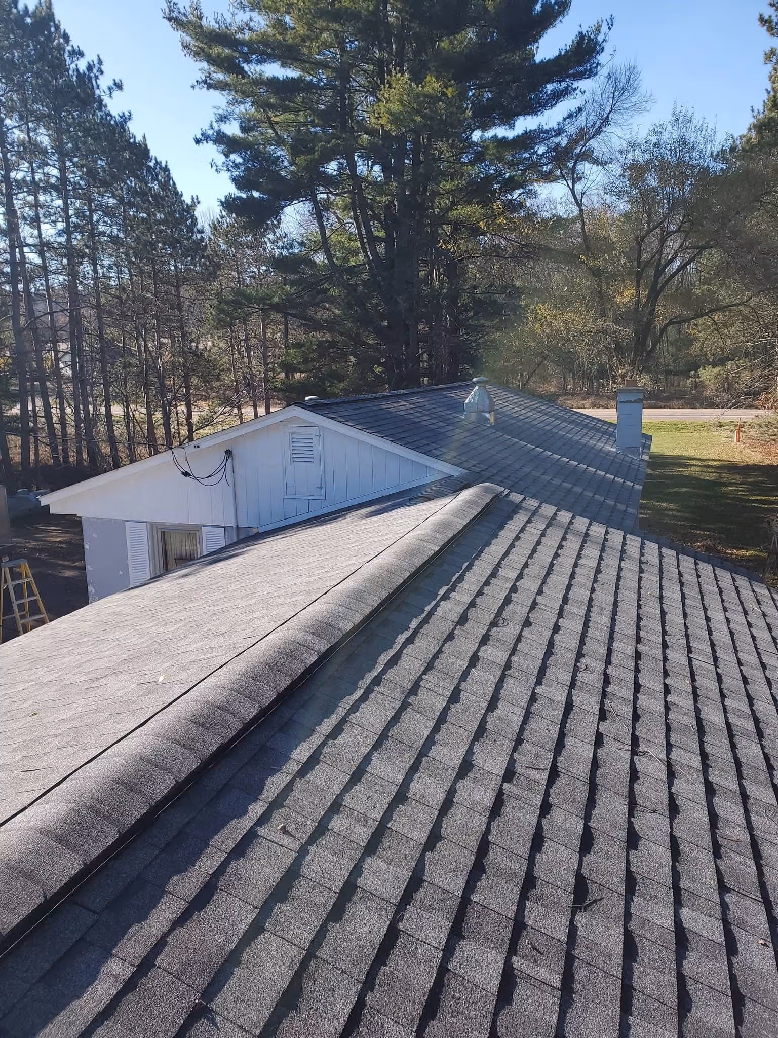 Gray shingled roof of a house surrounded by tall trees under a clear sky.